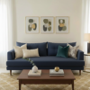 navy blue sofa